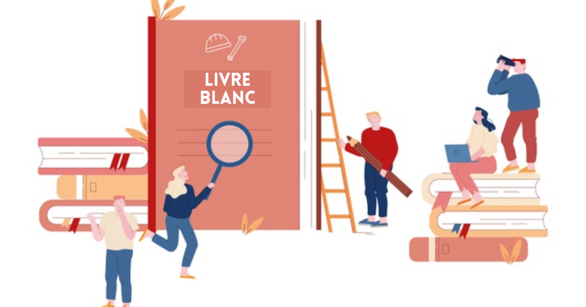 8 conseils pour bien rédiger son livre blanc